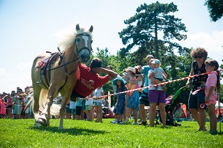 forbes kids festival